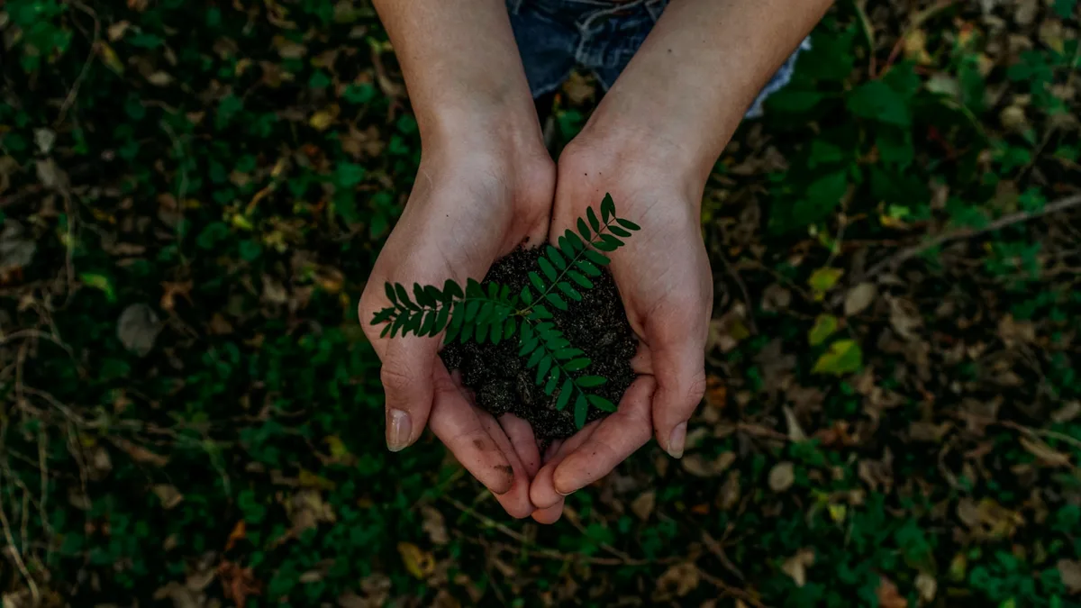 Sustainability for Companies: Corporate Carbon Footprint